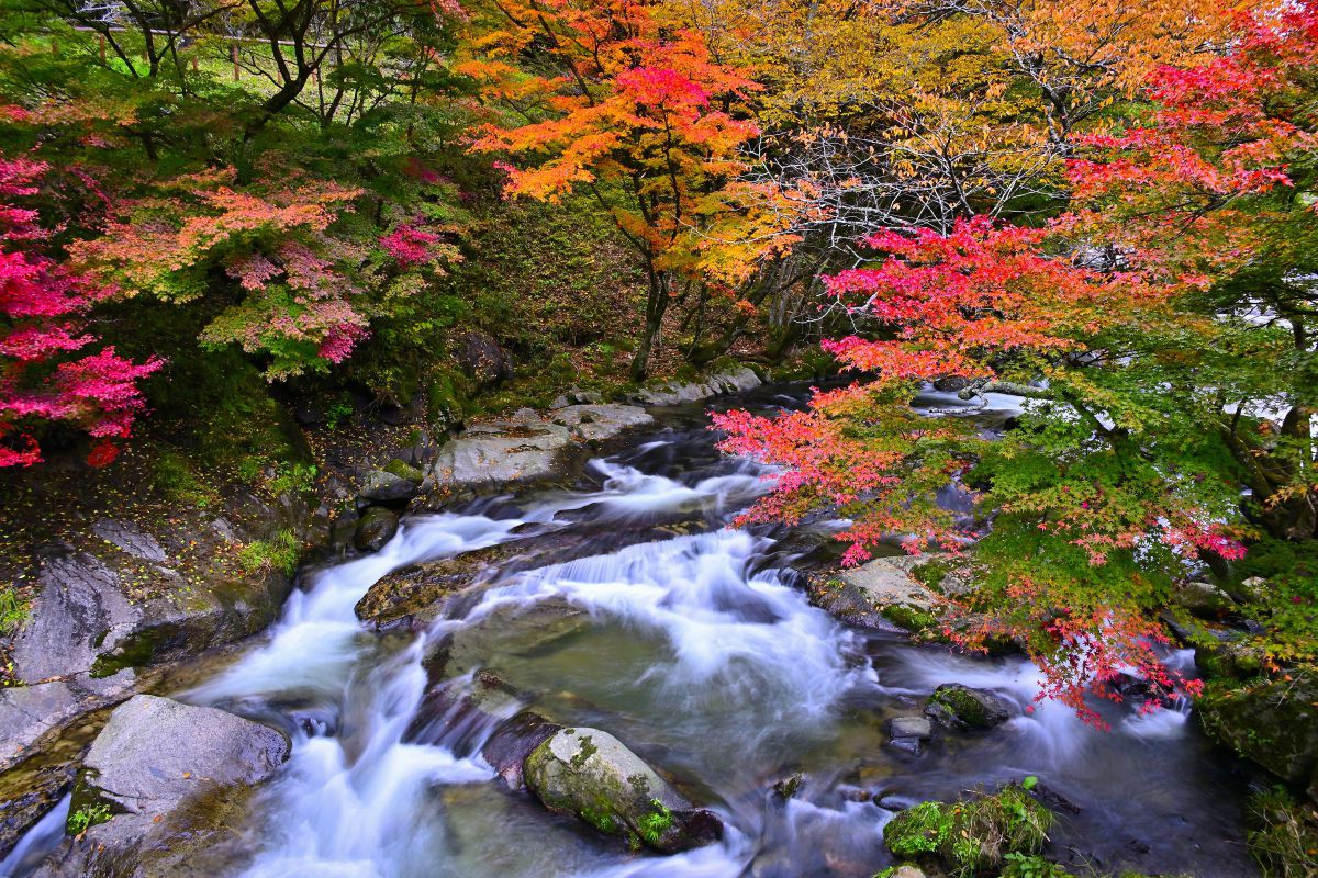 Z5IIで撮影された写真 | 写真検索 | GANREF