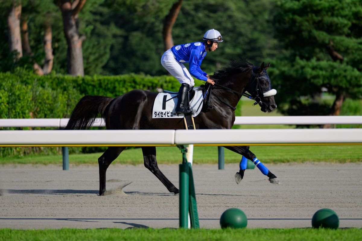 ニコン Z8 & NIKKOR Z 70-200mm f/2.8 VR S Ⅱ レビュー企画中！ 競馬