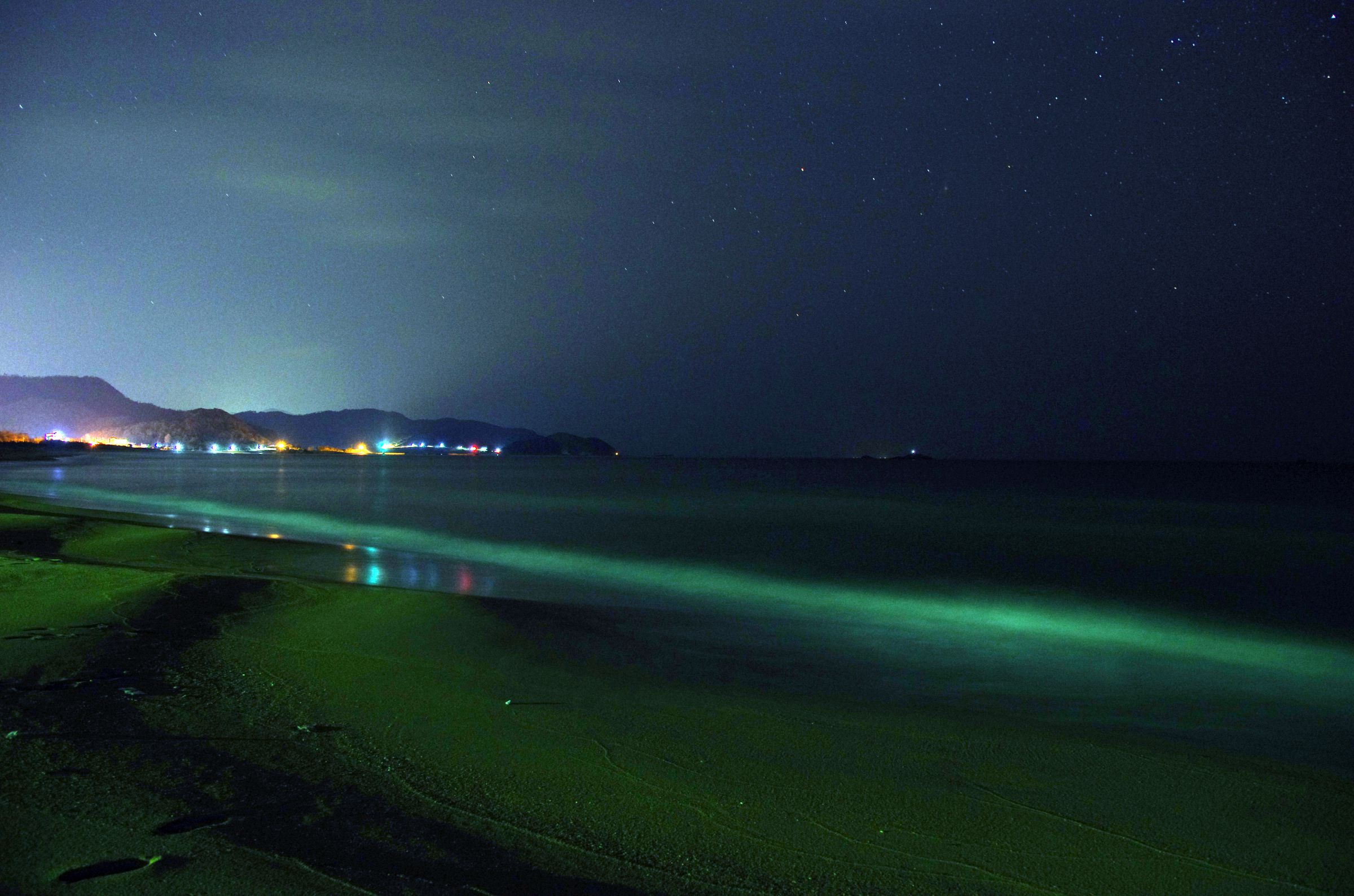 夜の渚 | GANREF