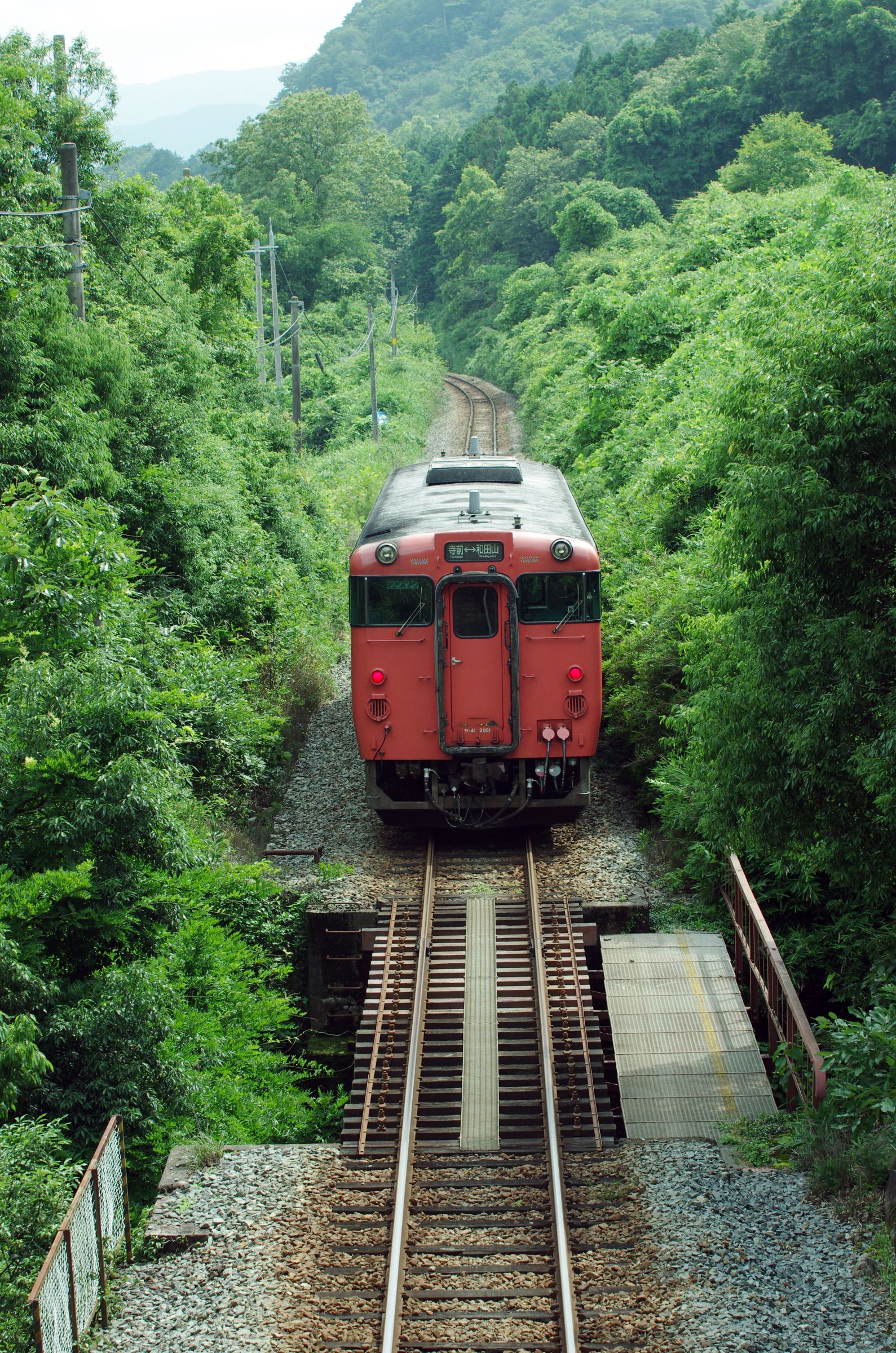 新緑の中 タラコ色が行く。（キハ40一両編成） | GANREF