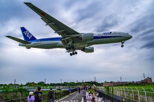 MDAwMDAzMTg3NQ_MC40OTgwODkwMCA