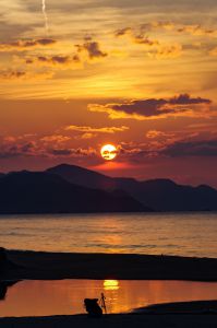 B787 秋の夕暮れランディング | GANREF