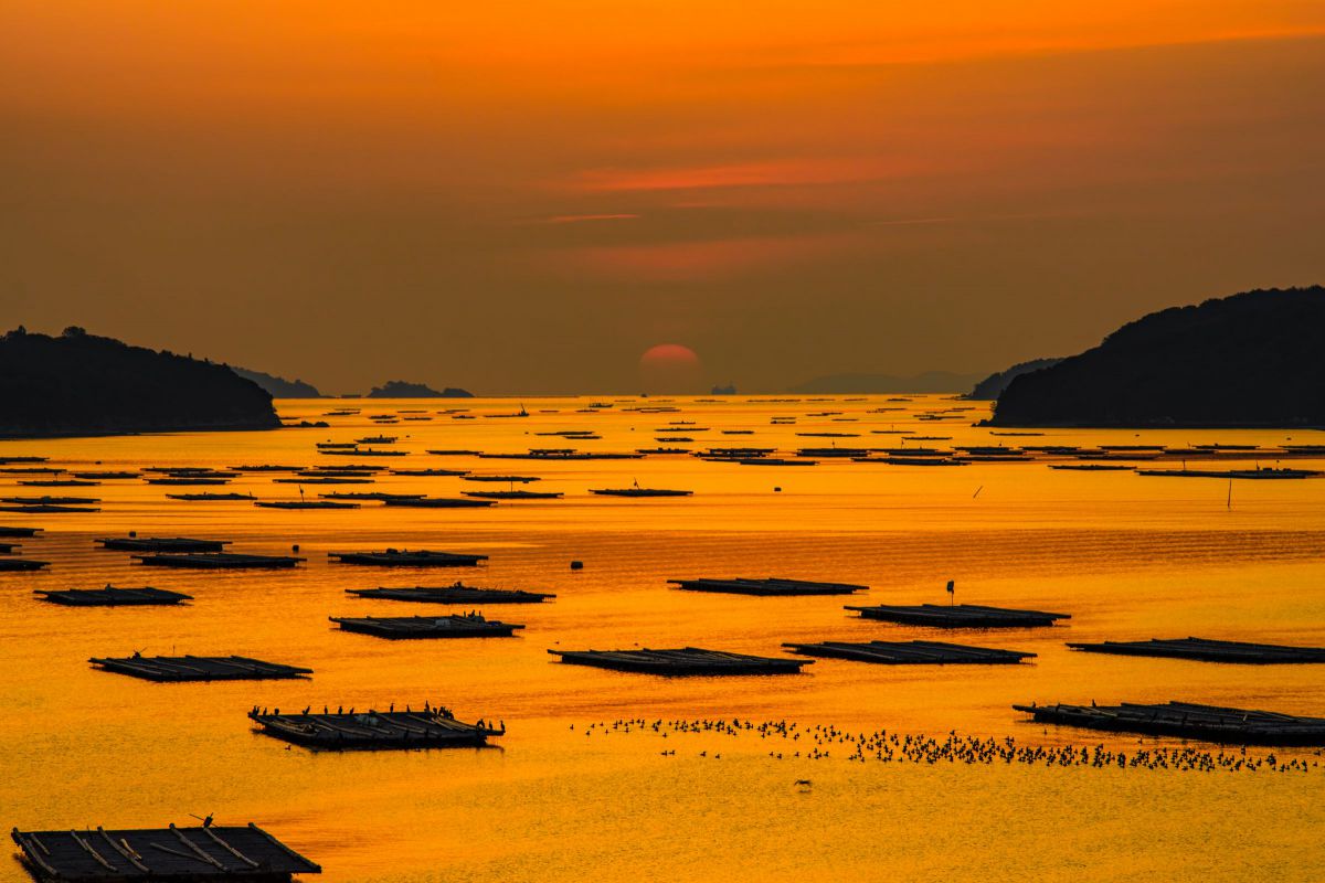 SP AF70-200mm F/2.8 Di LD [IF] MACROで撮影された写真 | 写真検索