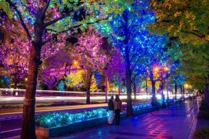 明かりが灯る石灯籠と石畳の参道に『もみじのトンネル』 | GANREF