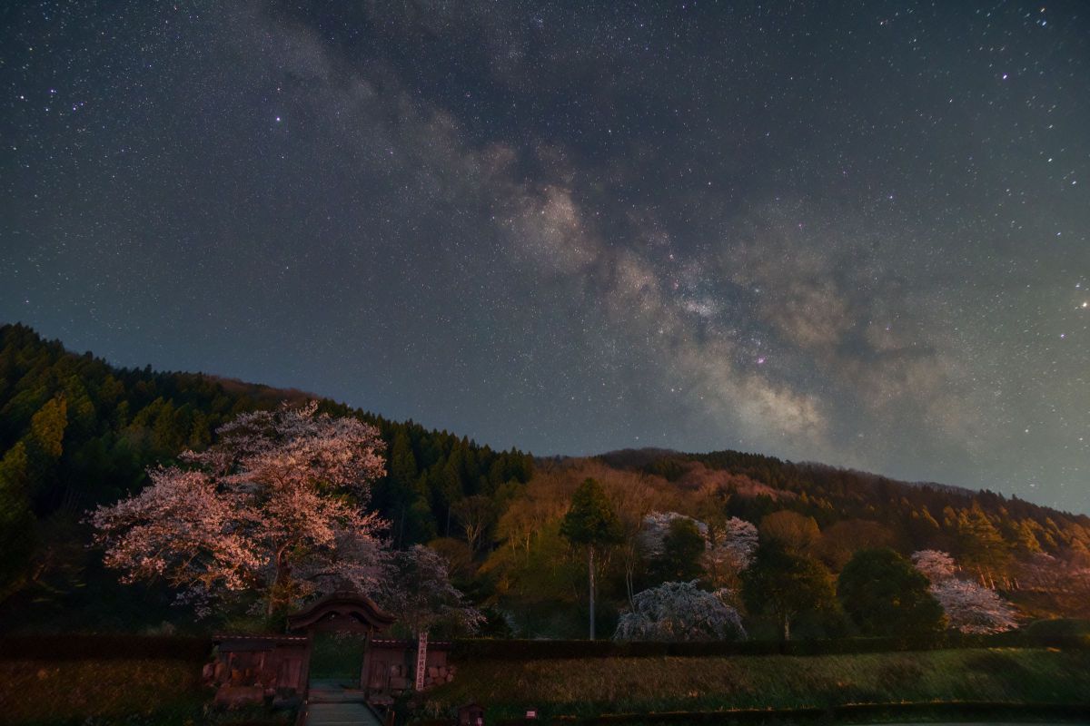 Hiromitsu Nishimura 様_SIGMA 20mm F1.8 ニコンZ用の広角大口径20mm F1.8レンズ - デジカメ Watch