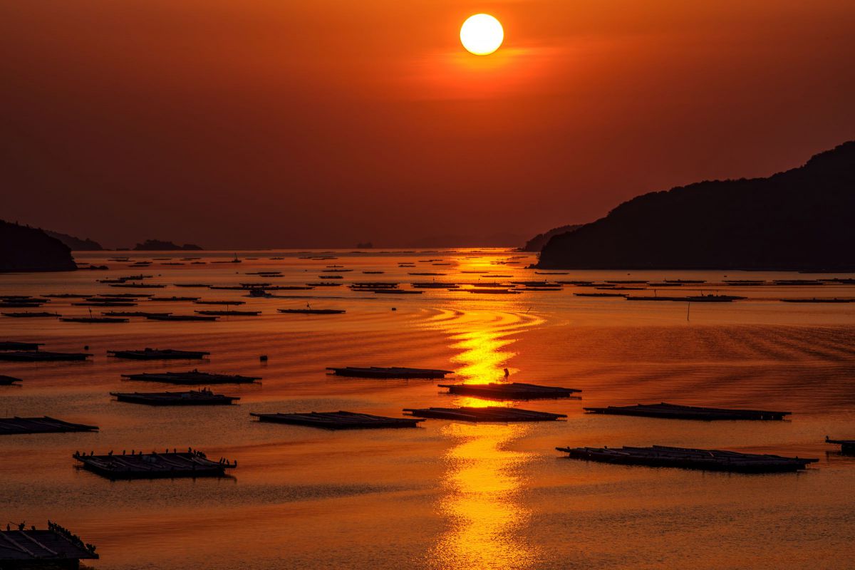 SP AF70-200mm F/2.8 Di LD [IF] MACROで撮影された写真 | 写真検索