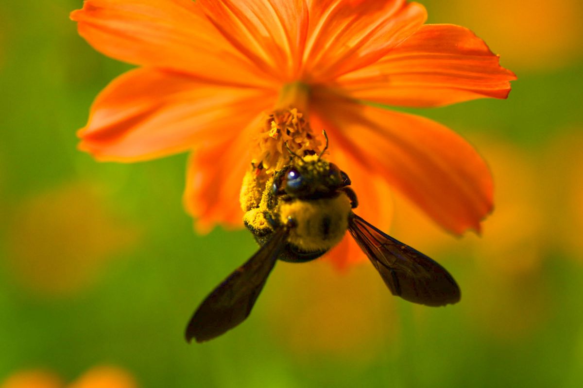 ✨極美品✨ニコン D7200 ボディ❤️わずか9,254ショット！ ✨極美品✨ニコン D7200 ボディ❤️わずか9,254ショット！ ニコン