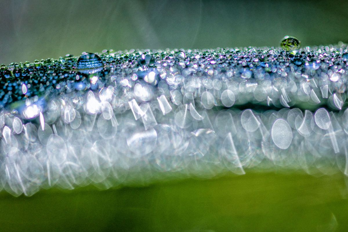 蒼い小惑星 GANREF