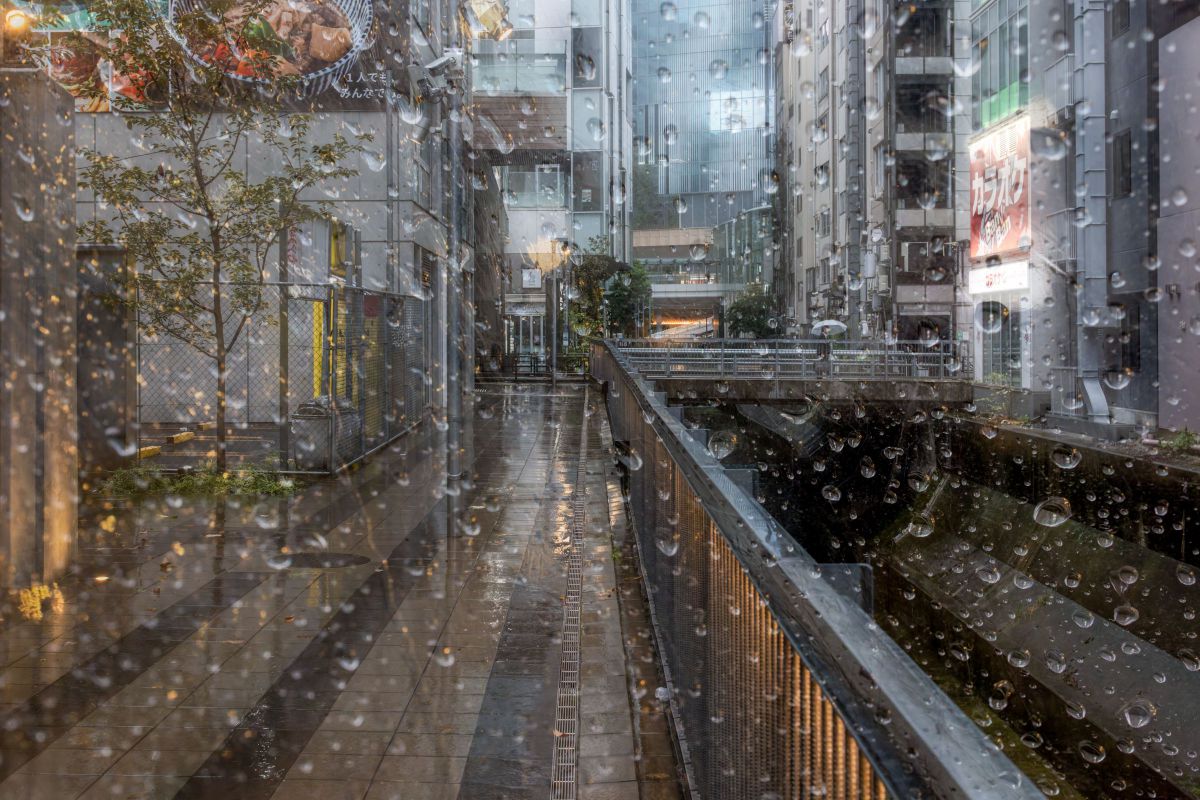 RF35mm F1.8 マクロ IS STMで撮影された写真 | 写真検索 | GANREF