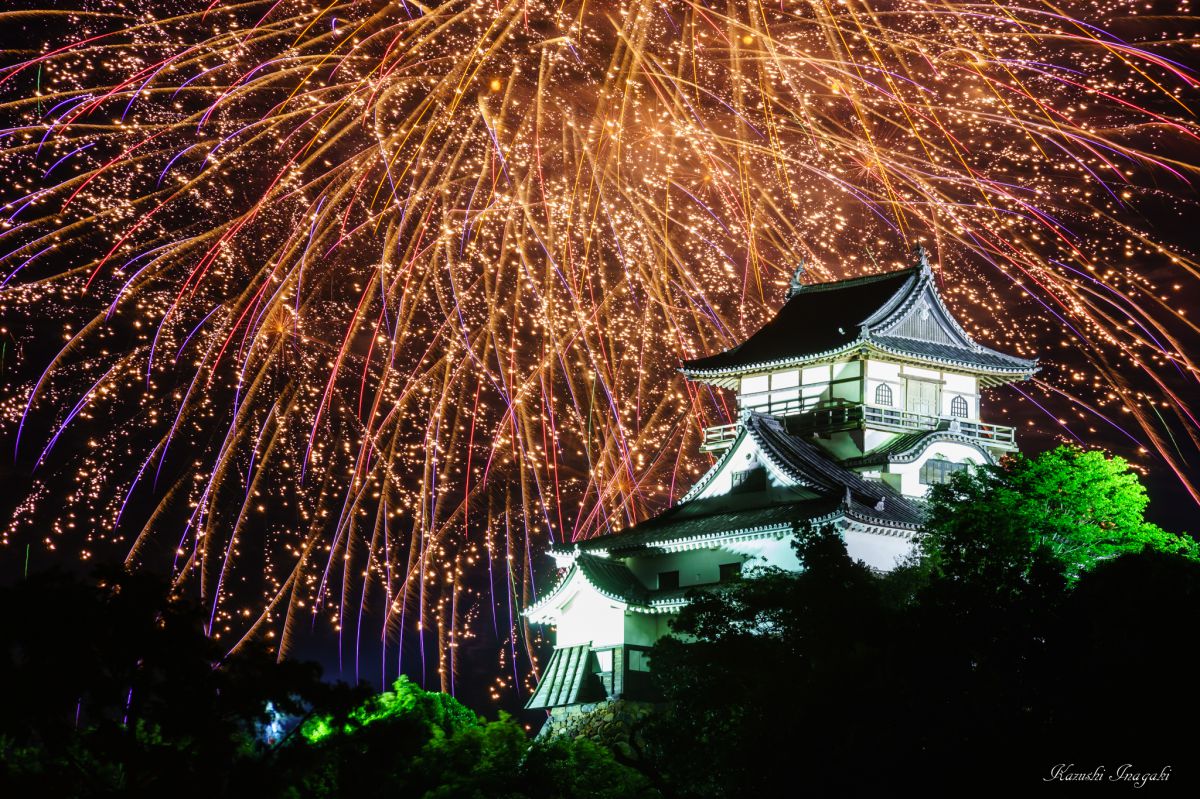 木曽川鵜飼開き花火大会 行事 祭り Ganref 木曽川鵜飼開き花火大会 行事 祭り Ganref