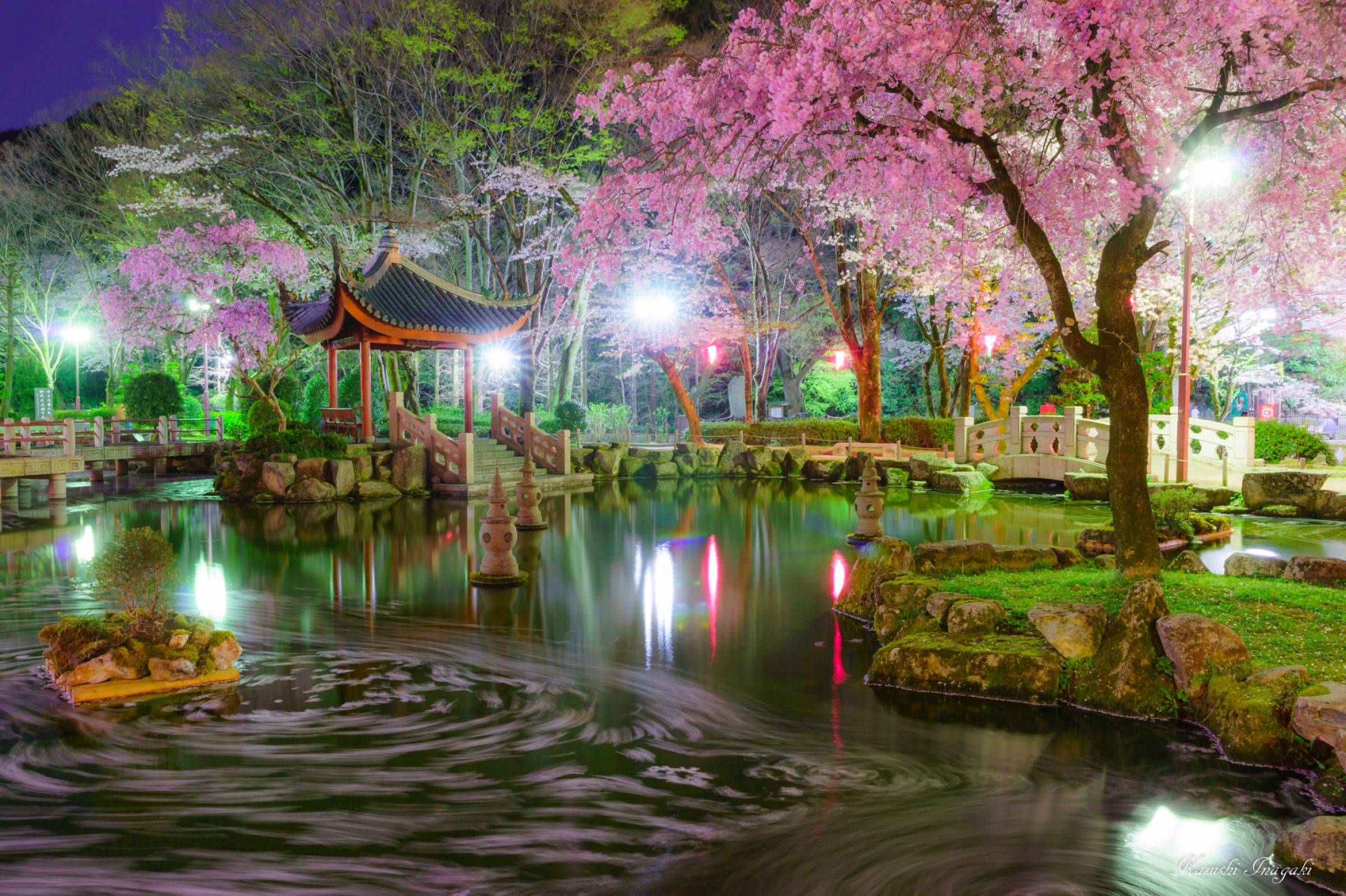 日中友好庭園の花筏 | GANREF