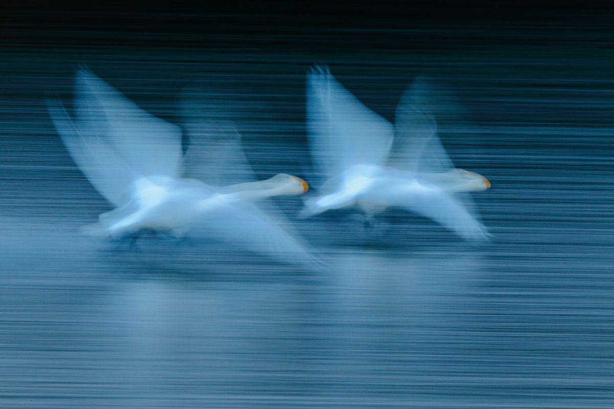 EOS-1D Mark IVで撮影された写真 | 写真検索 | GANREF