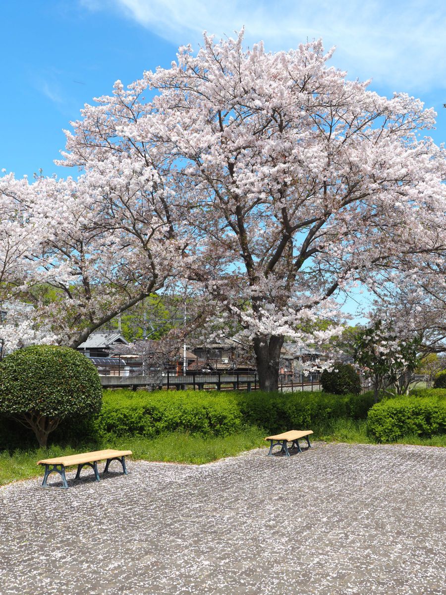 鑑賞日和 | GANREF