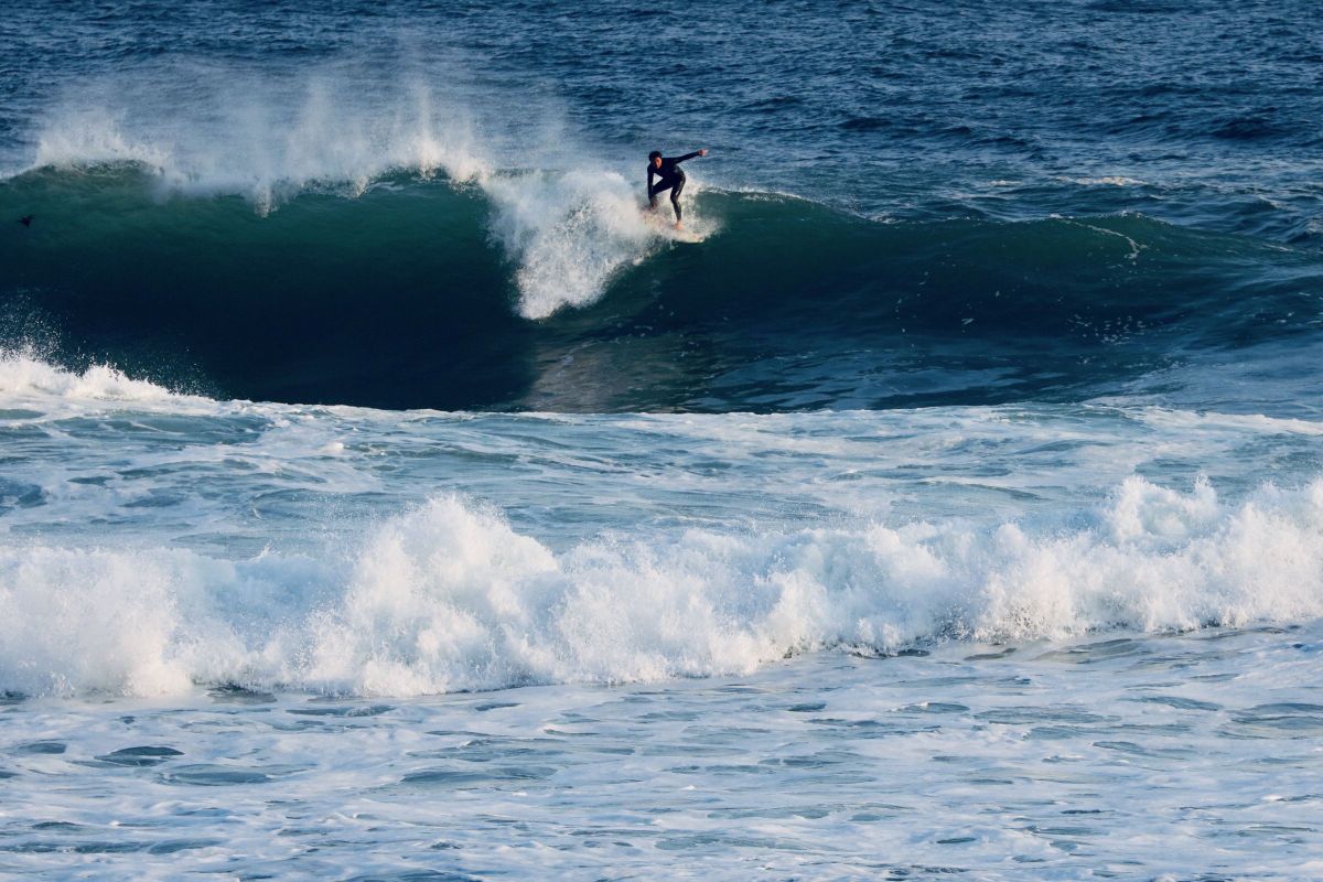 person riding a wave GANREF