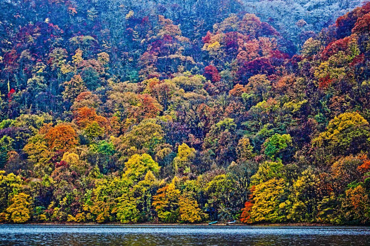 from autumn to winter | GANREF