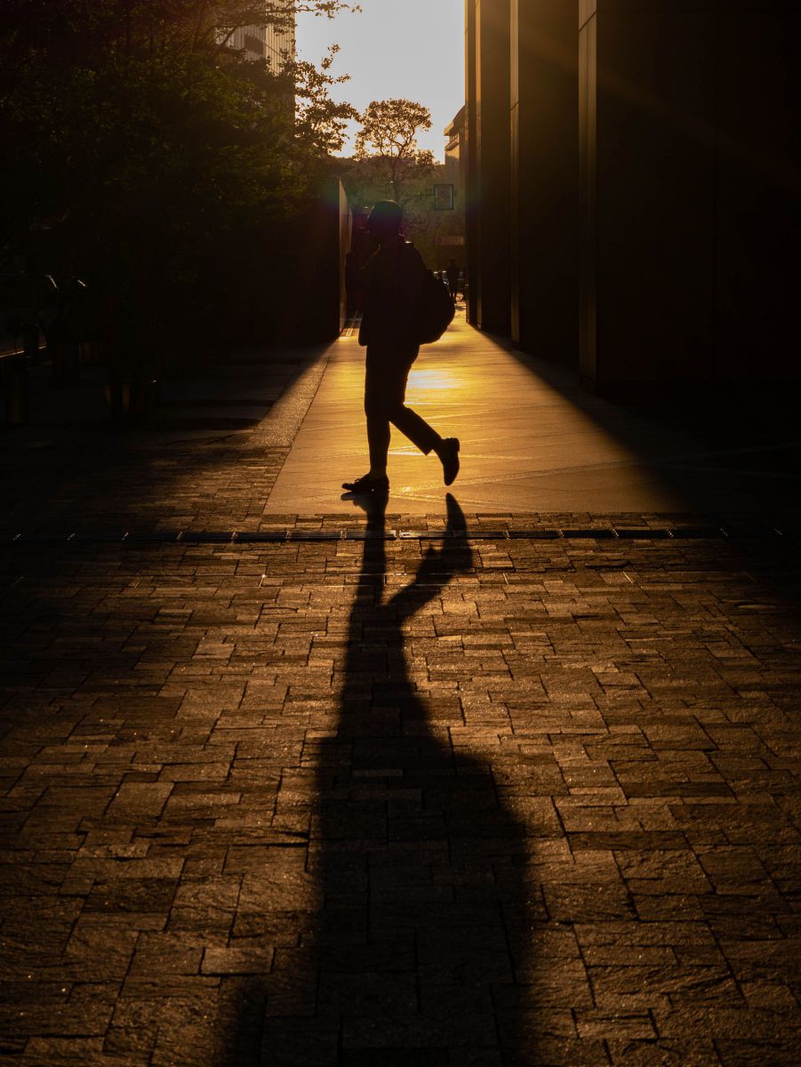 M.ZUIKO DIGITAL ED 14-42mm F3.5-5.6 EZで撮影された写真 | 写真検索