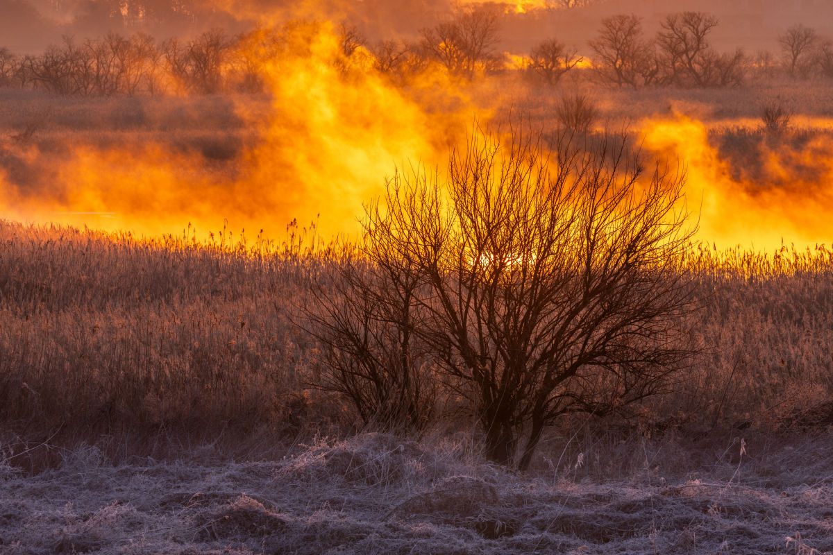 SIGMA 60-600mm F4.5-6.3 DG OS HSM | Sportsで撮影された写真 | 写真