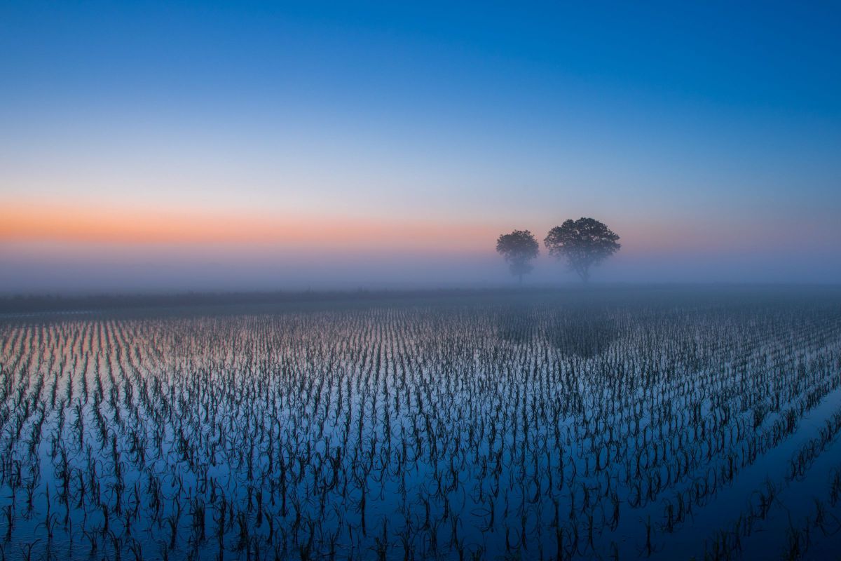 ☆美品☆ショット 7102回 Canon ６D EF24-105 L #389 ☆美品☆ショット 7102回 Canon 6D EF24-105 L #389