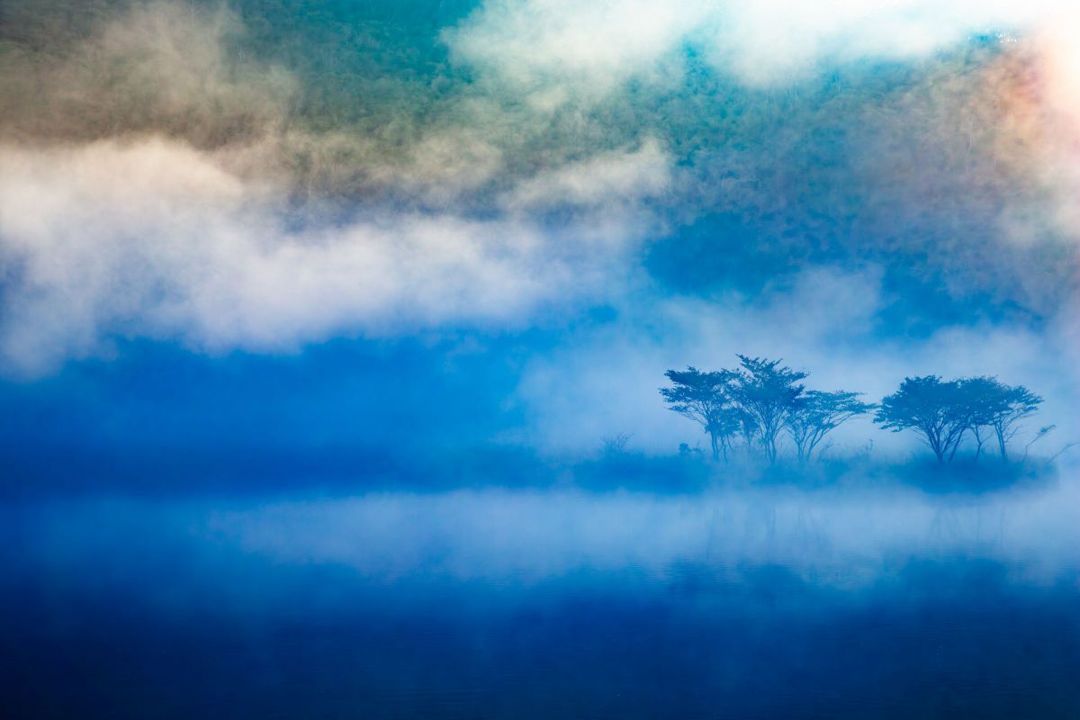 EF24-105mm F4L IS II USMで撮影された写真 | 写真検索 | GANREF