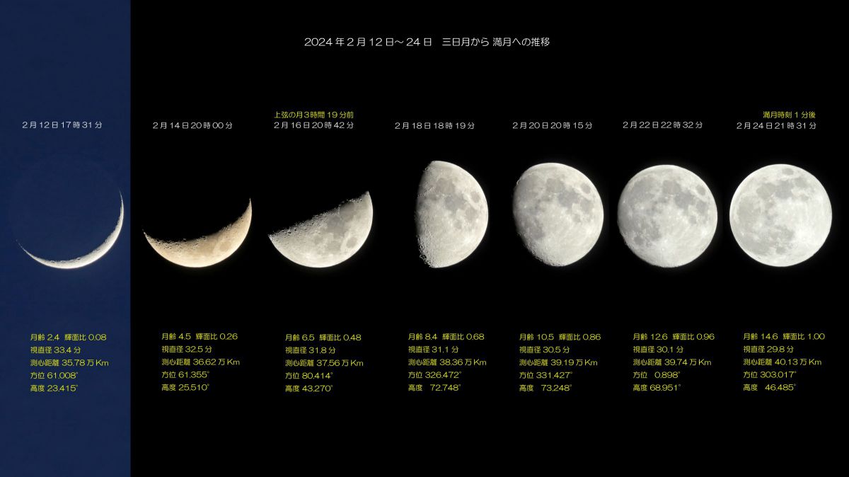 三日月様*.゜ ミカヅキちゃんステッカー | ミカヅキBIGWAVE