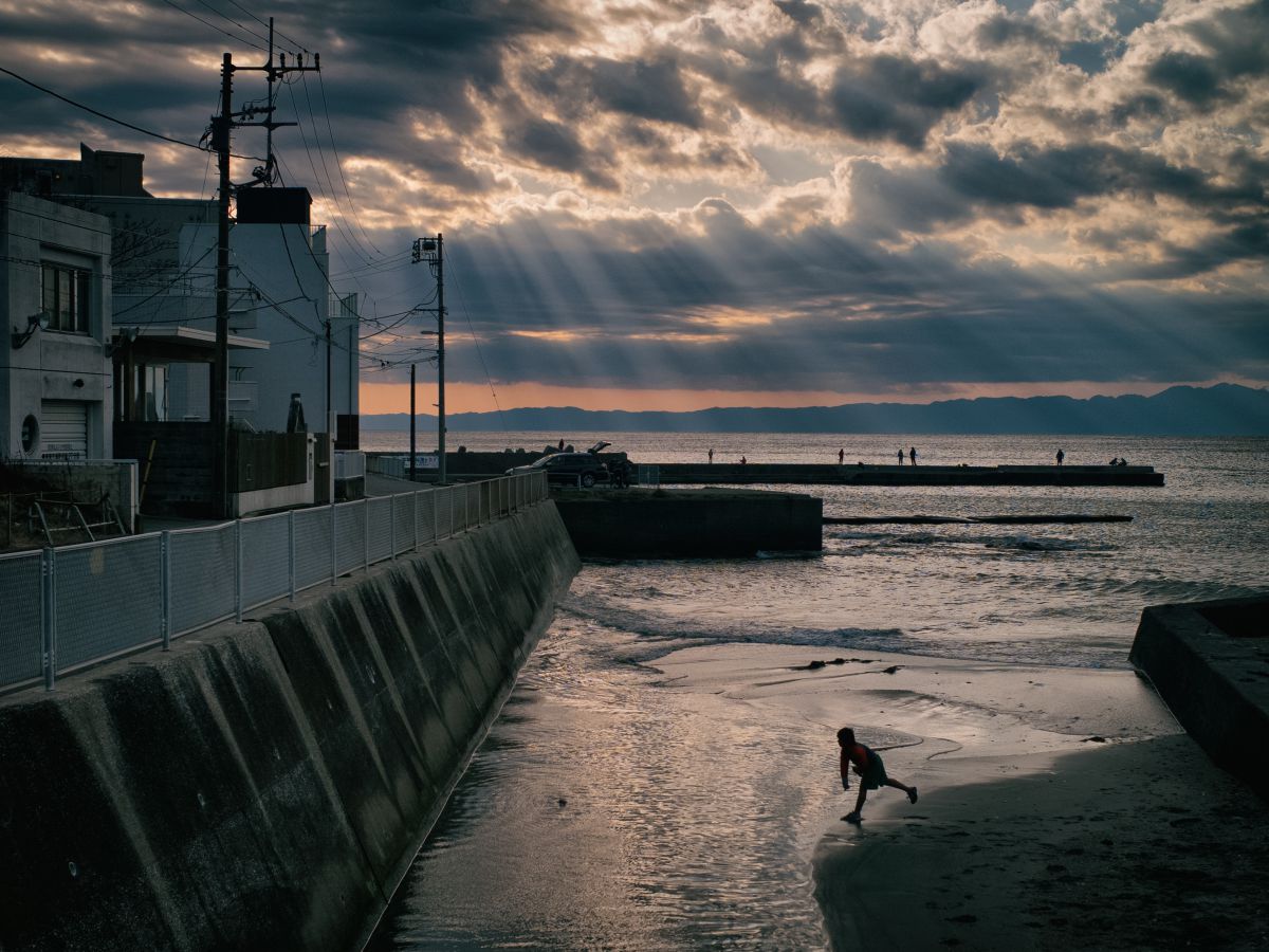 Leica M8 【作例あり】 作例レビュー】Leica M8 ライカのカメラ #わたしのカメラ vol