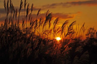 7d277e5c8effb655a17356b0bc808a