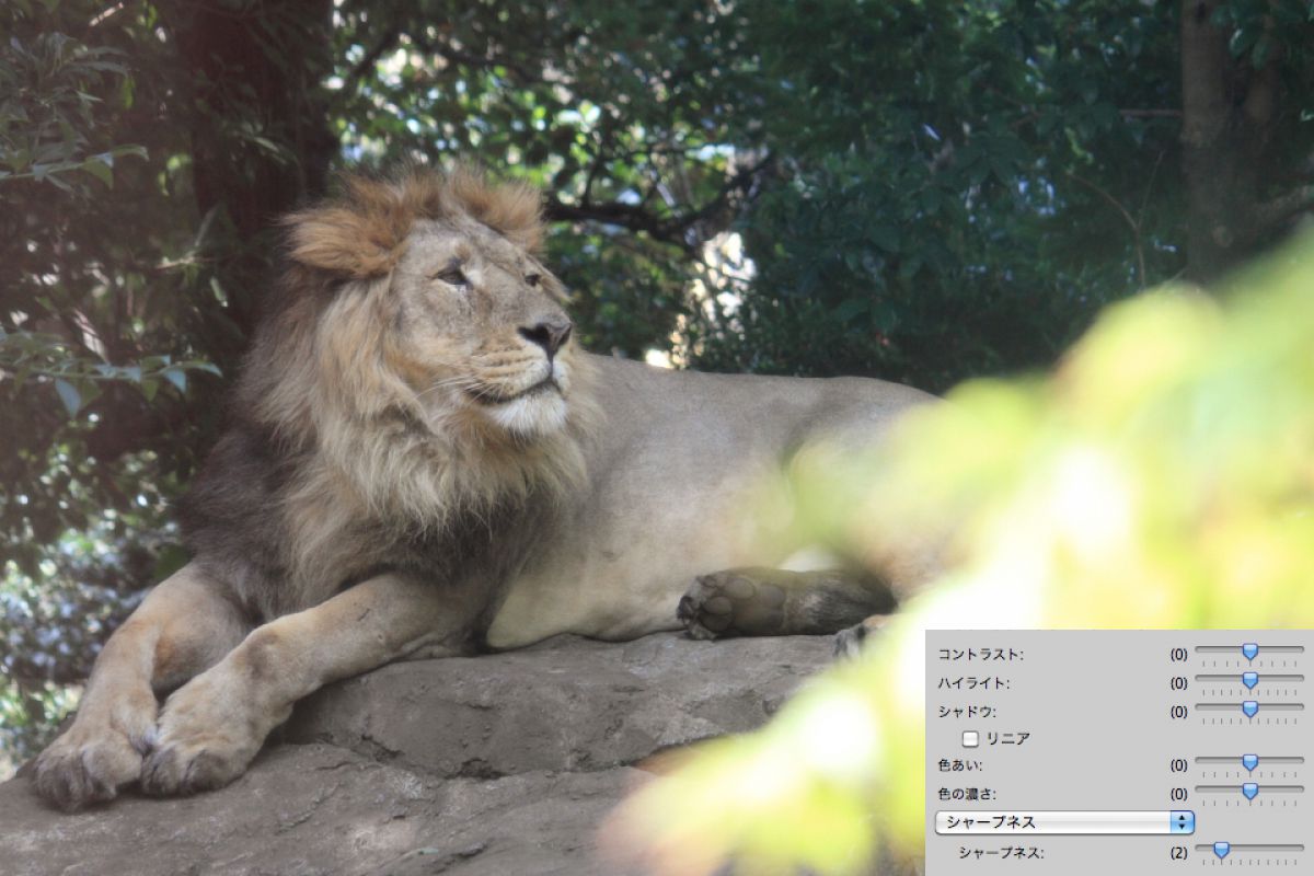 動物園フォト ガラス越しの写真を見栄え良く仕上げる Ganref