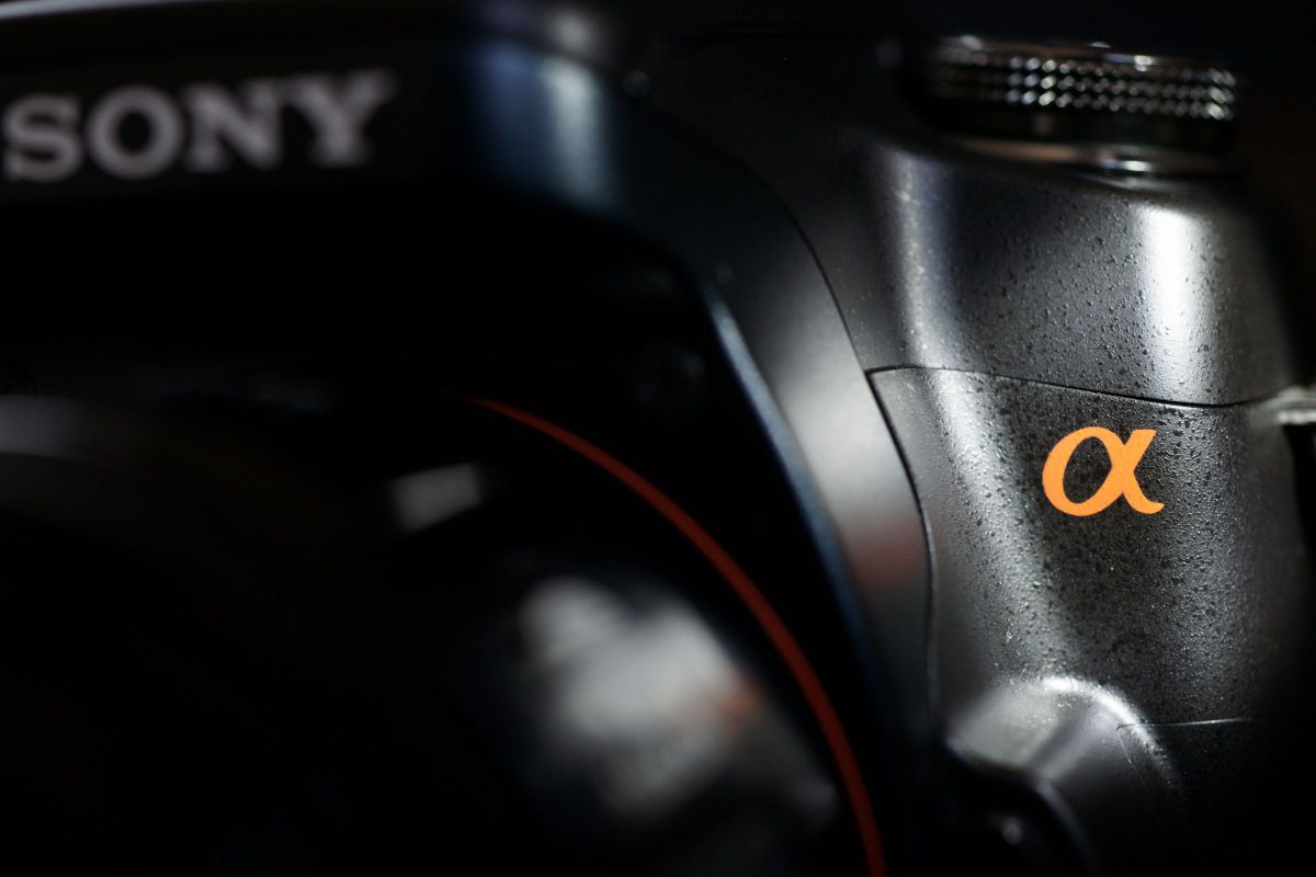 AF MACRO 50mm F2.8で撮影された写真 | 写真検索 | GANREF