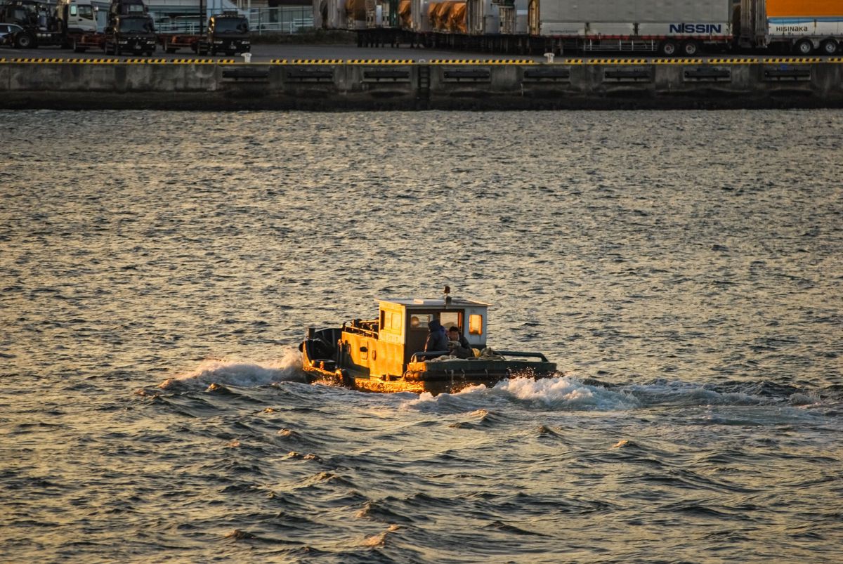 APO 80-400mm F4.5-5.6 EX DG OSで撮影された写真 | 写真検索 | GANREF