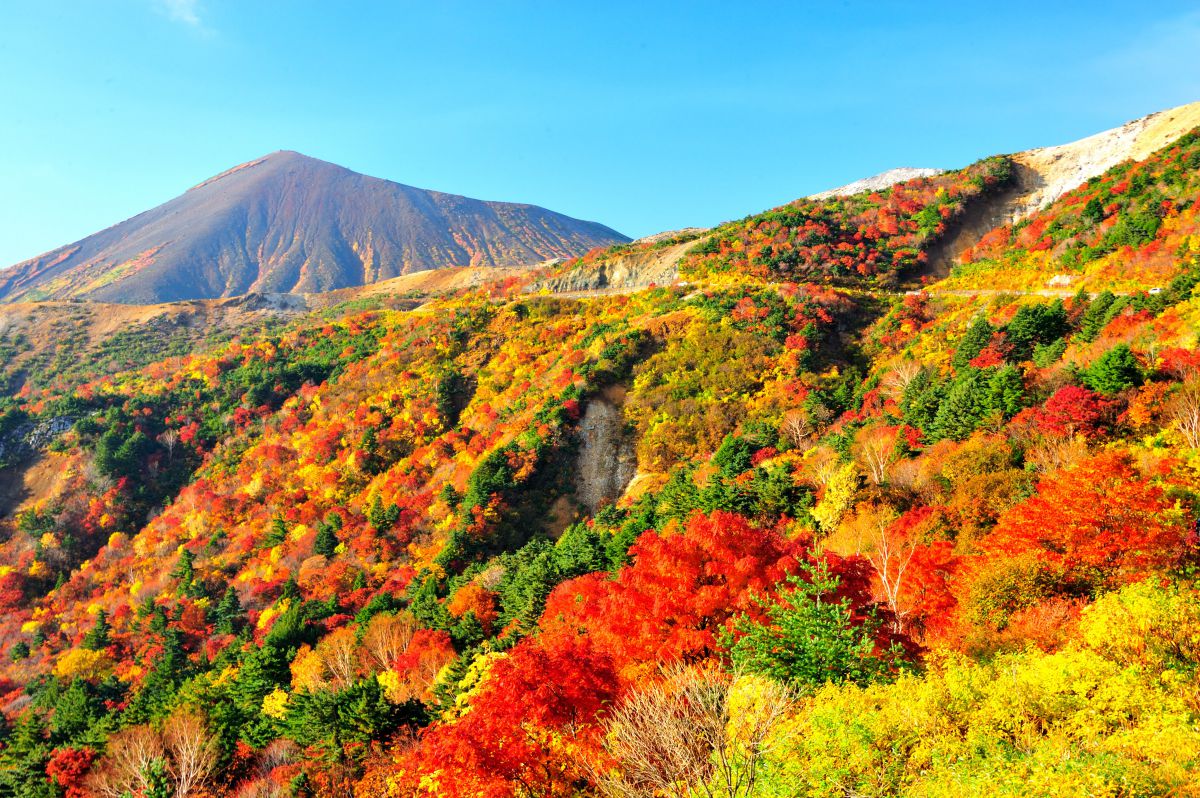 紅葉と磐梯山 自然 風景 山 Ganref