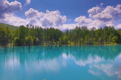 Ef11 24mm F4l Usmで撮影された写真 写真 Ganref