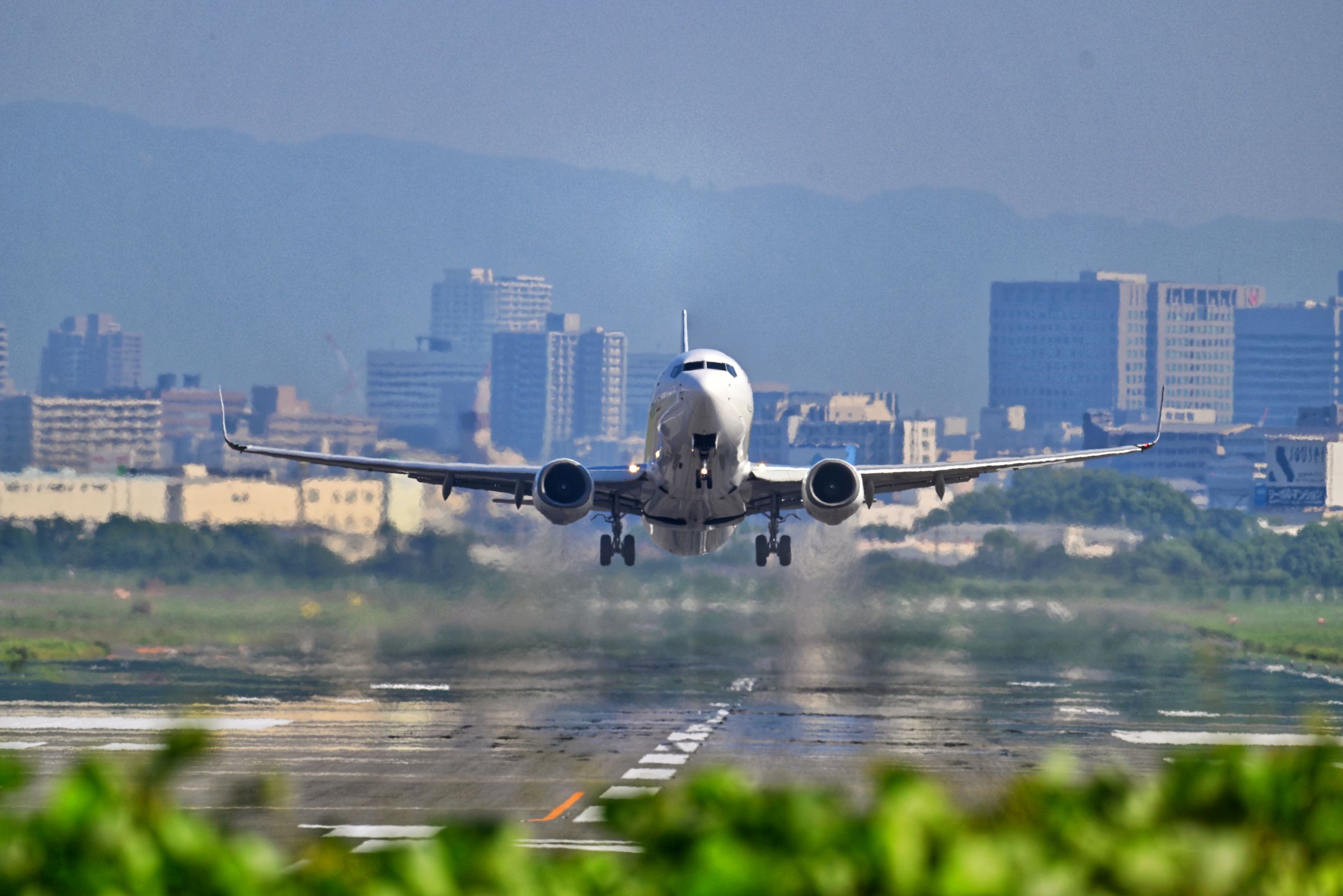 猪名川土手 | GANREF