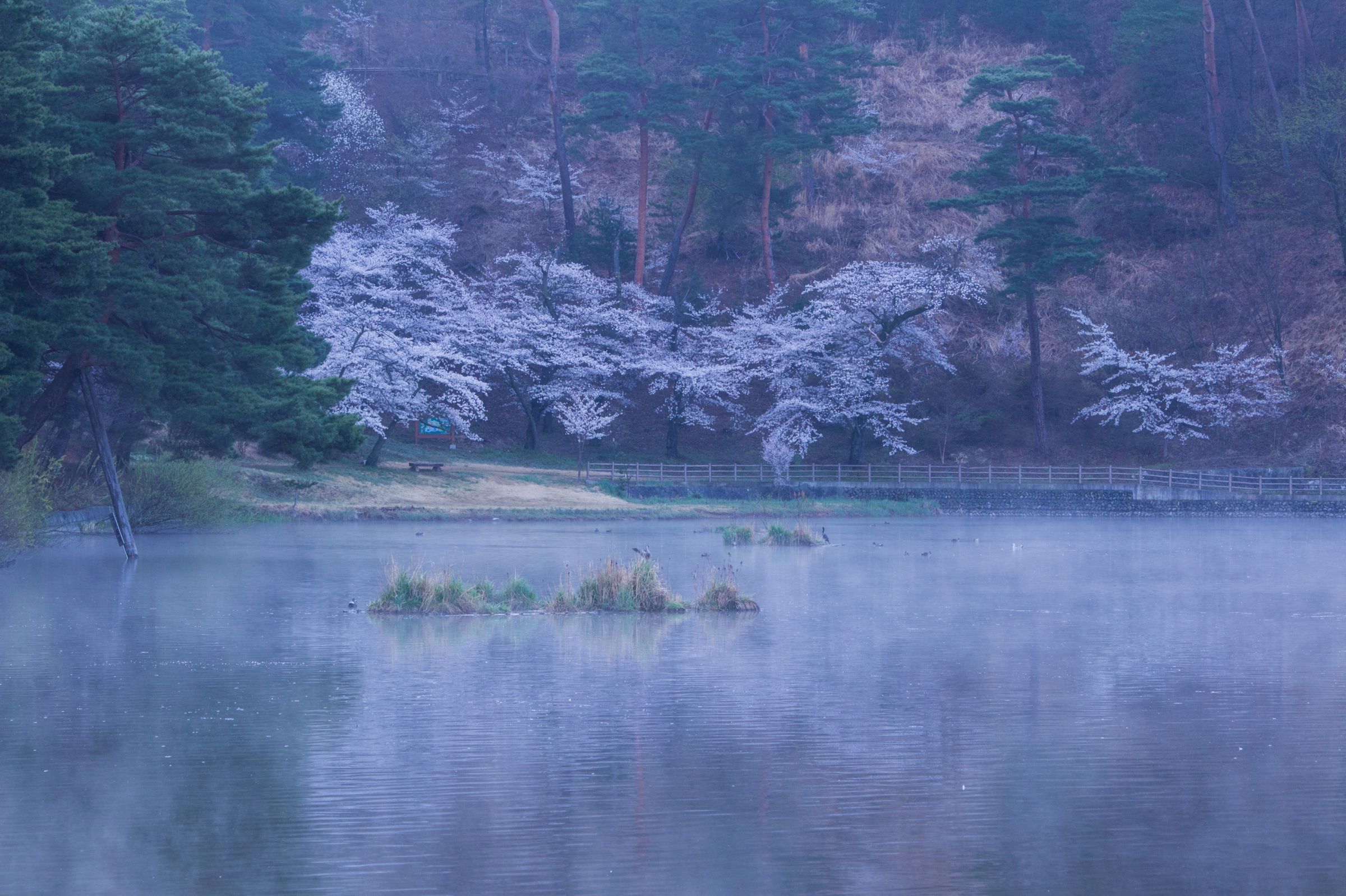 幽玄の池 | GANREF