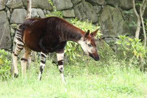 32b4f2797982c11aa0b0d6587186ca