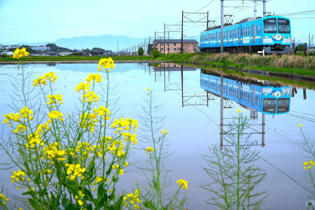 E PZ 18-105mm F4 G OSSで撮影された写真 | 写真検索 | GANREF