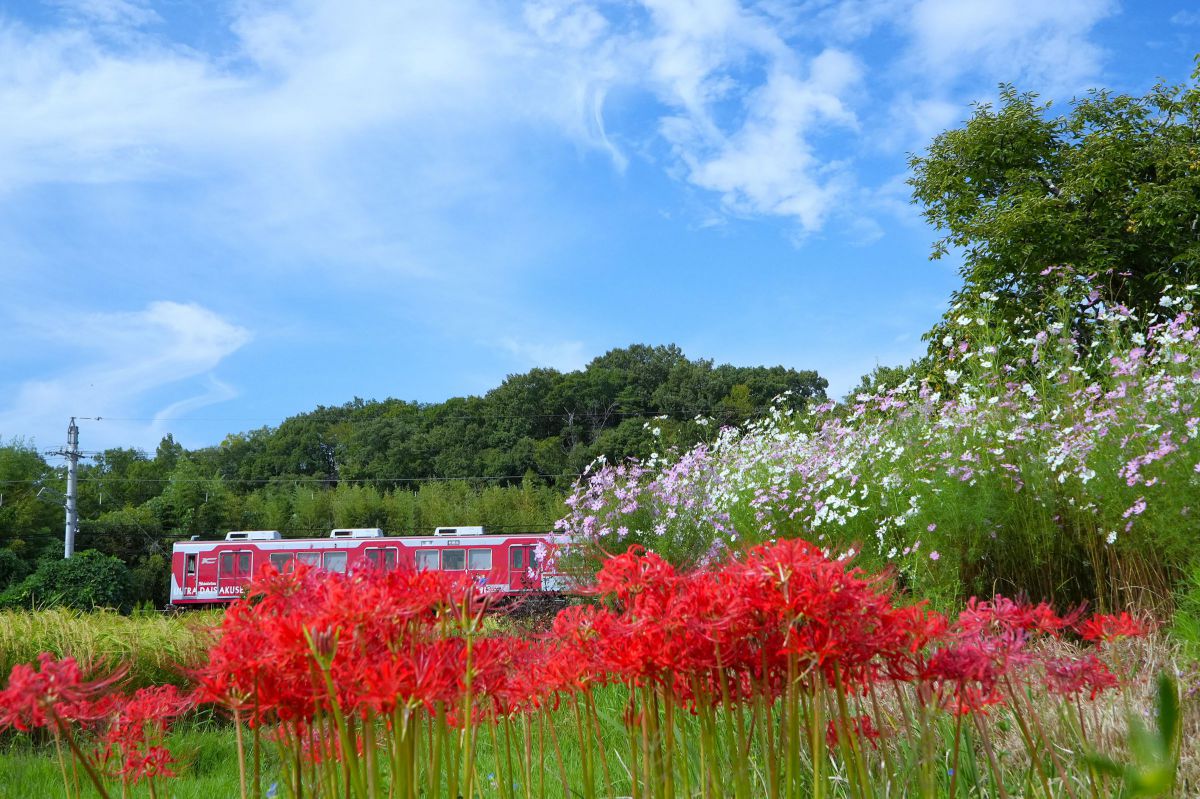 E PZ 18-105mm F4 G OSSで撮影された写真 | 写真検索 | GANREF