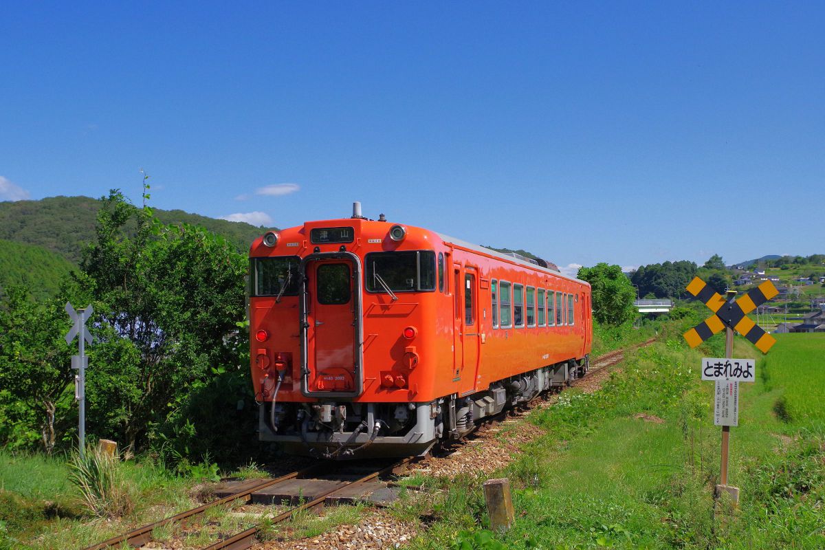 smc PENTAX-DA L 18-55mmF3.5-5.6AL WRで撮影された写真 | 写真検索 