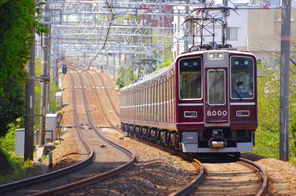 HD PENTAX-DA 55-300mmF4-5.8ED WRで撮影された写真 | 写真検索 | GANREF