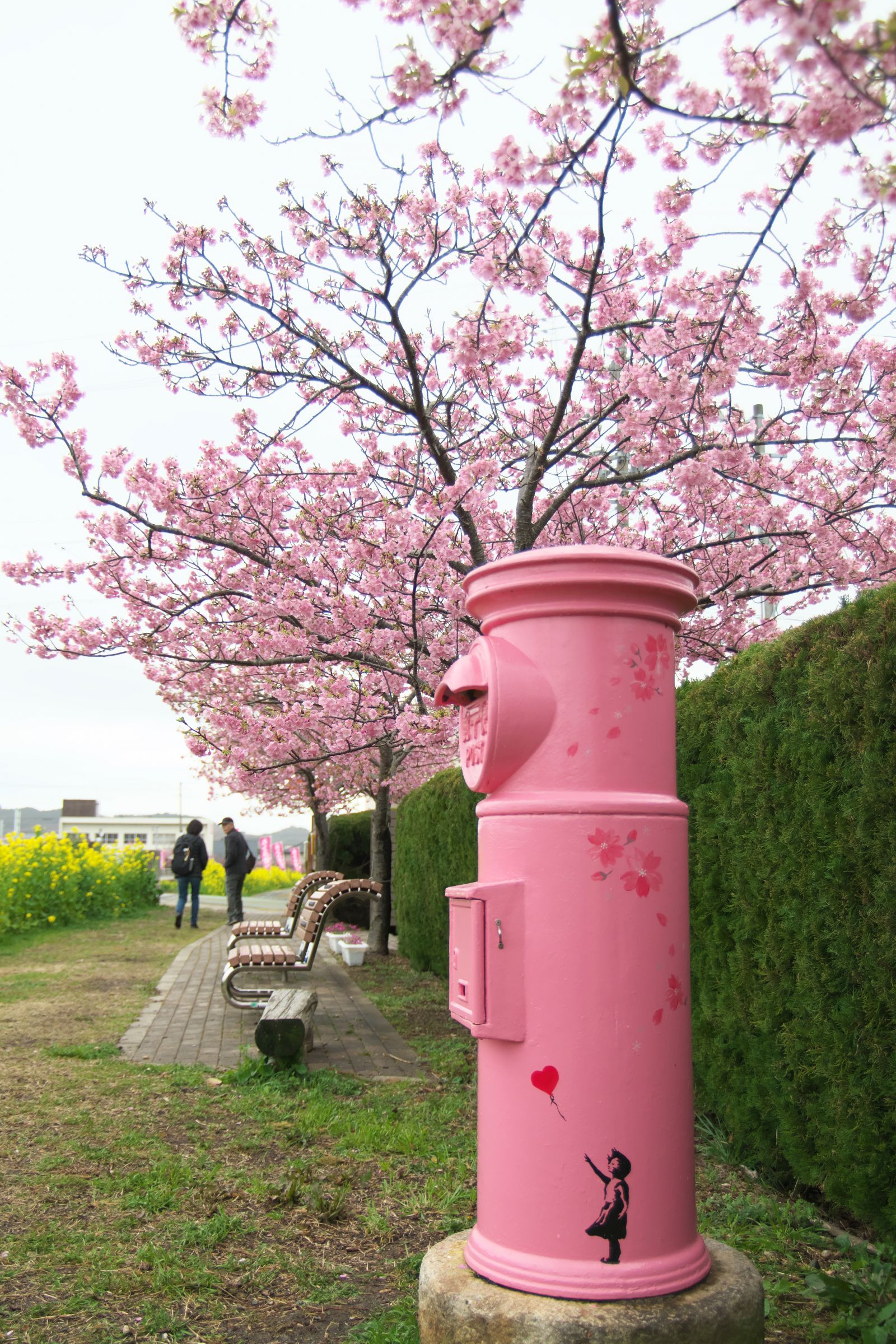宅配＆ポスト桜(ピンク） Amazon.co.jp: 宅配＆ポスト桜(ピンク） : 文房具・オフィス用品