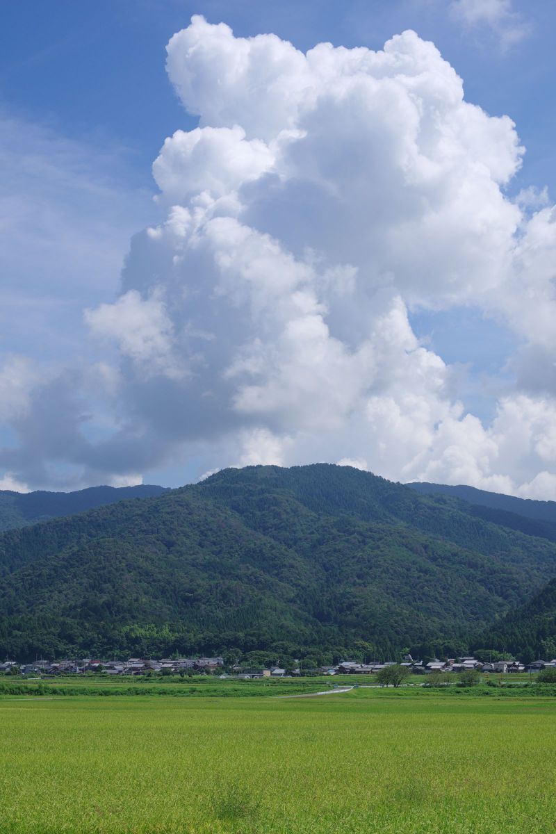 田舎の風景 | GANREF