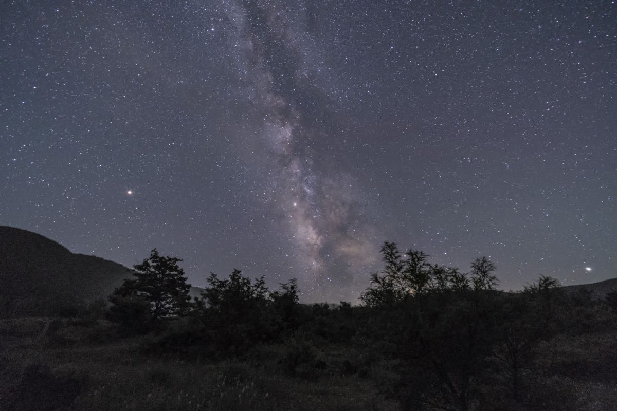 AF14mm F2.8 FEで撮影された写真 | 写真検索 | GANREF