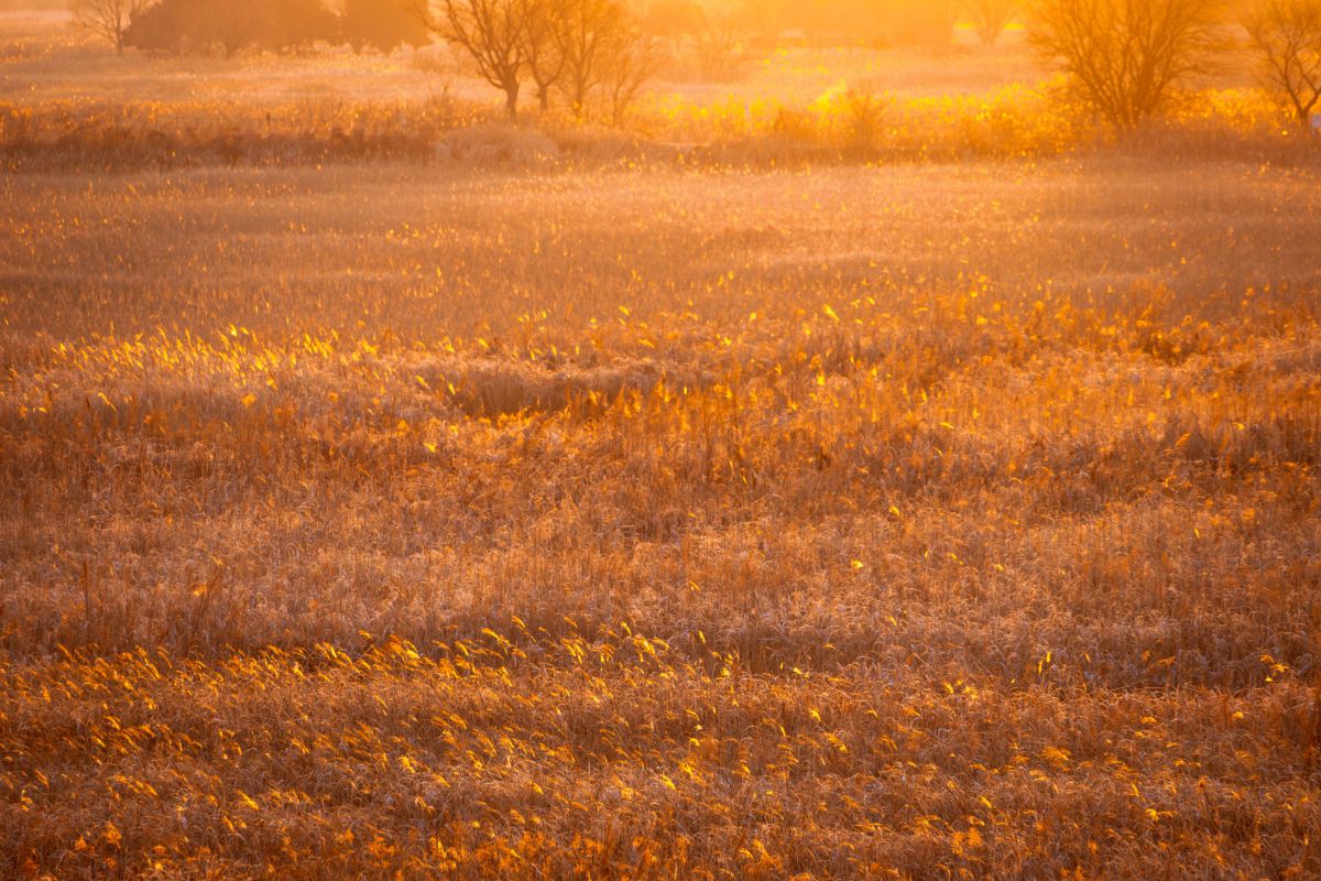 FUJIFILM X-S20で撮影された写真 | 写真検索 | GANREF