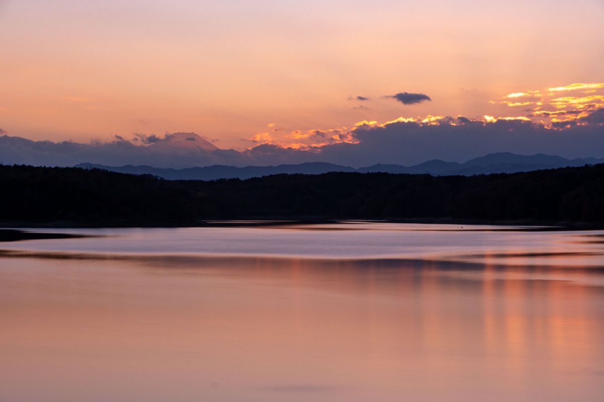 FUJIFILM X-S20で撮影された写真 | 写真検索 | GANREF