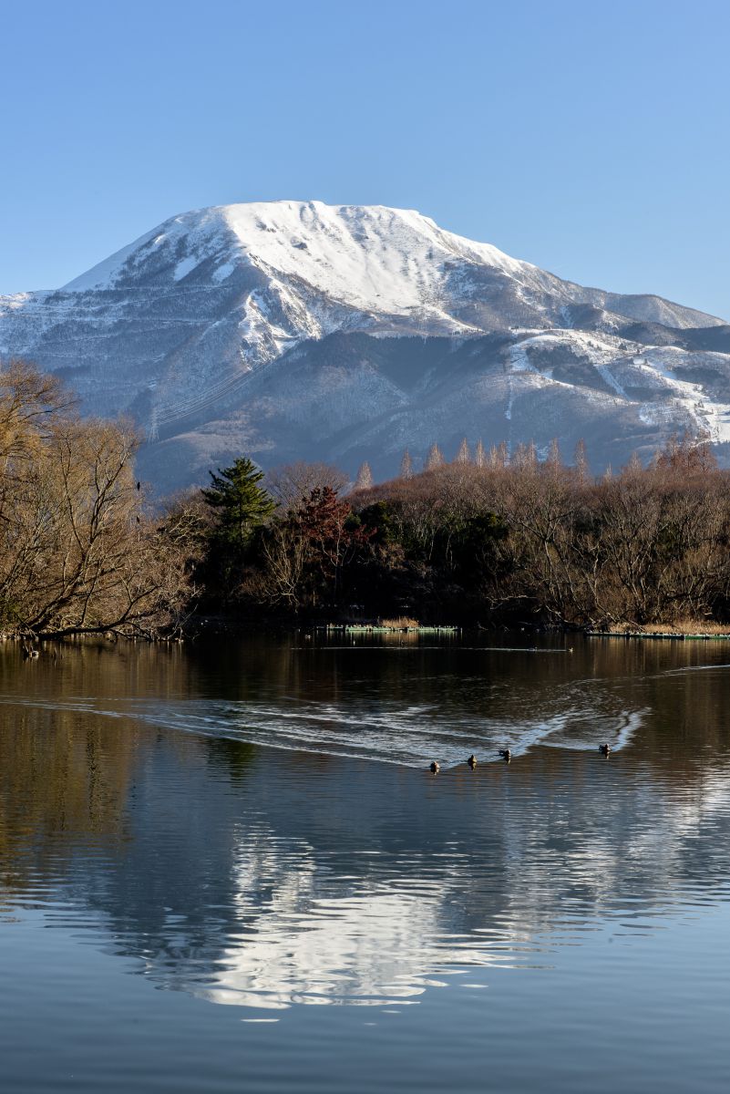 三島池 滋賀県米原市 と水鳥 自然 風景 湖沼 Ganref