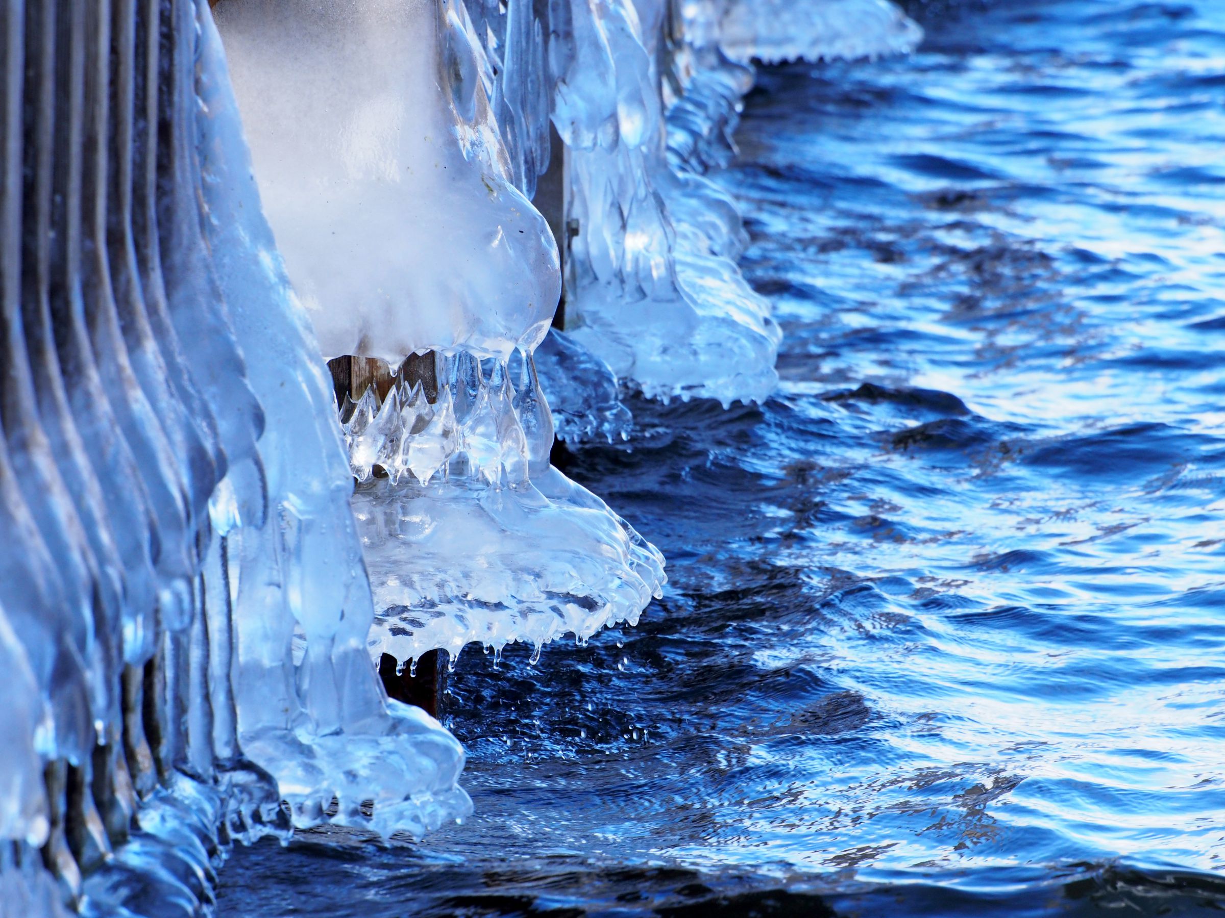 氷のドレス 」 | GANREF