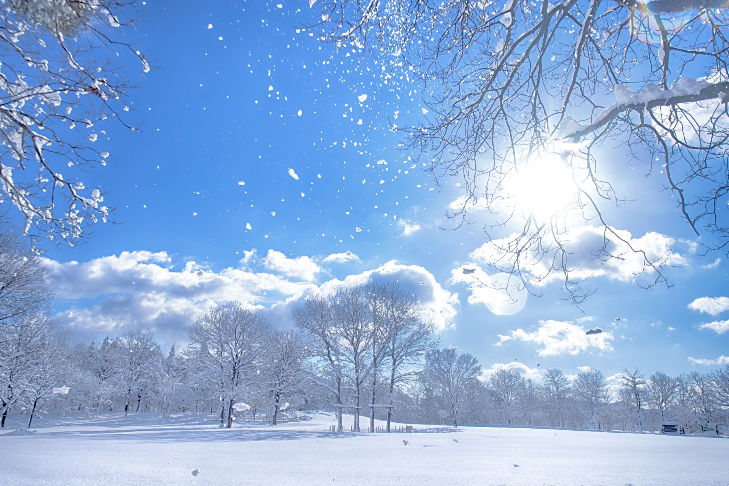 舞い上がる 雪 | GANREF