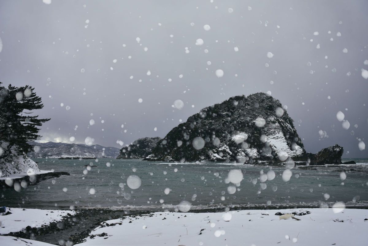 牡丹雪 自然 風景 海 Ganref