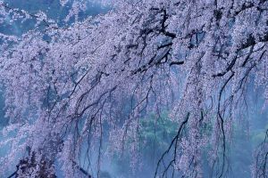 b64d45935c570c614505e77db1a34e