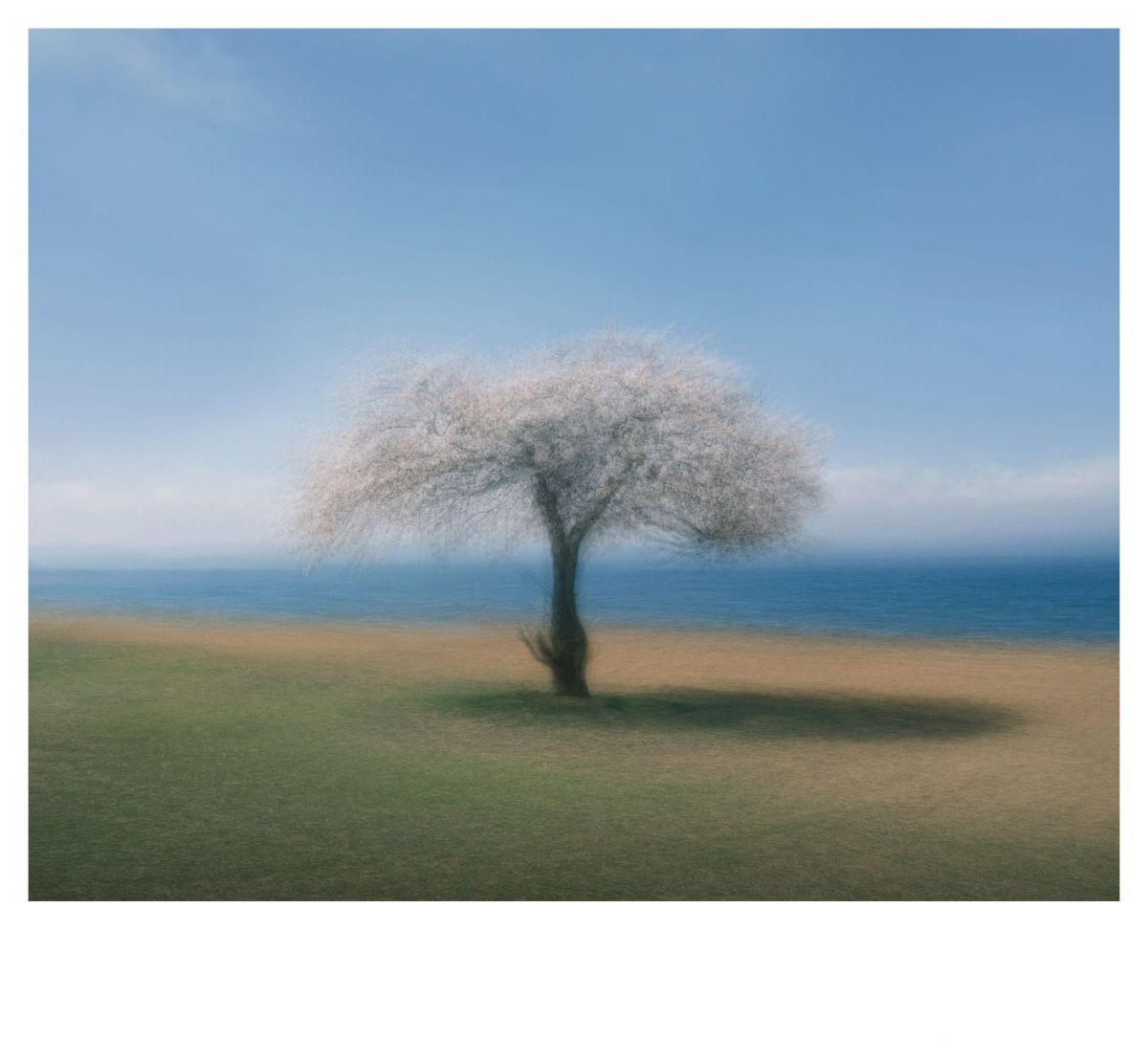 Spring | GANREF