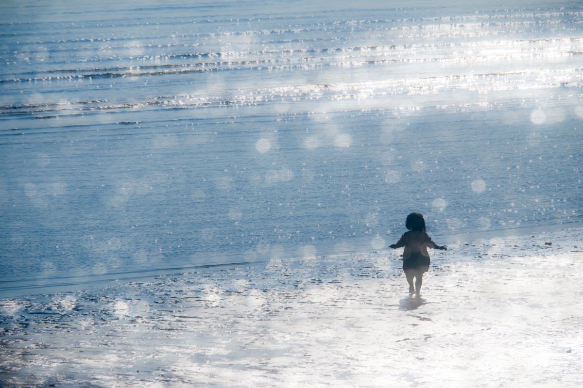 M.ZUIKO DIGITAL ED 14-150mm F4.0-5.6で撮影された写真 | 写真検索